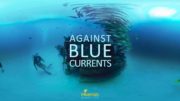 Against-Blue-Currents-scuba-divigin-experience-360